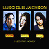 ++ luscious jackson | eletric honey ++